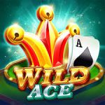Wild Ace Casino