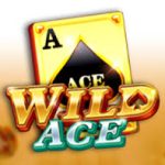 Wild Ace Casino App