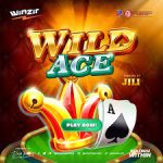 Wild Ace Casino