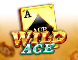 Wild Ace Casino Slot